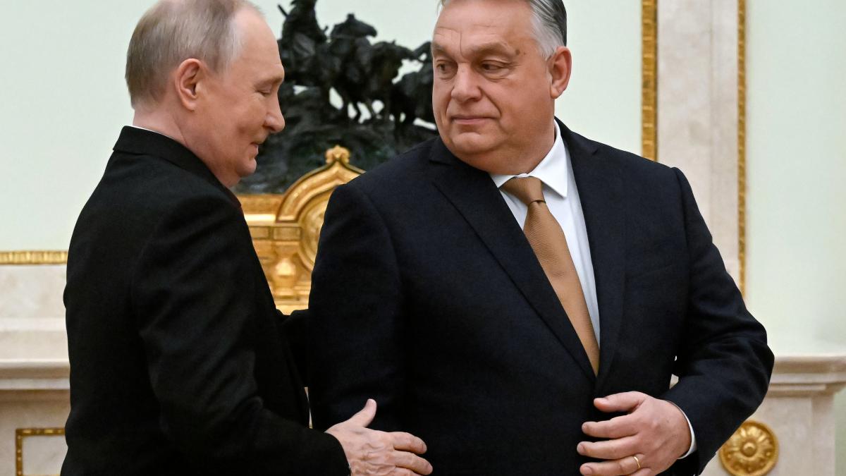 kremlinul admite ca viktor orban va pierde alegerile chiar si cu ajutorul nostru nu au putut face nimic