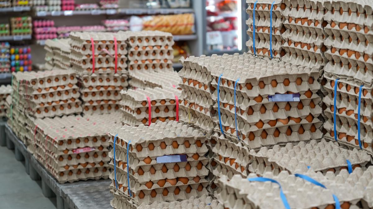 alerta sanitara inainte de paste 1 5 milioane de oua contaminate cu salmonella la vaslui