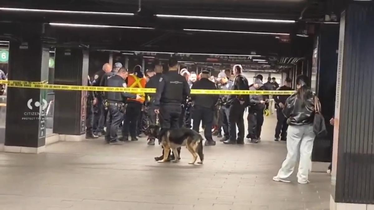 atac cu maceta in cea mai aglomerata statie de metrou din new york 3 persoane au fost ranite suspectul impuscat mortal de politisti
