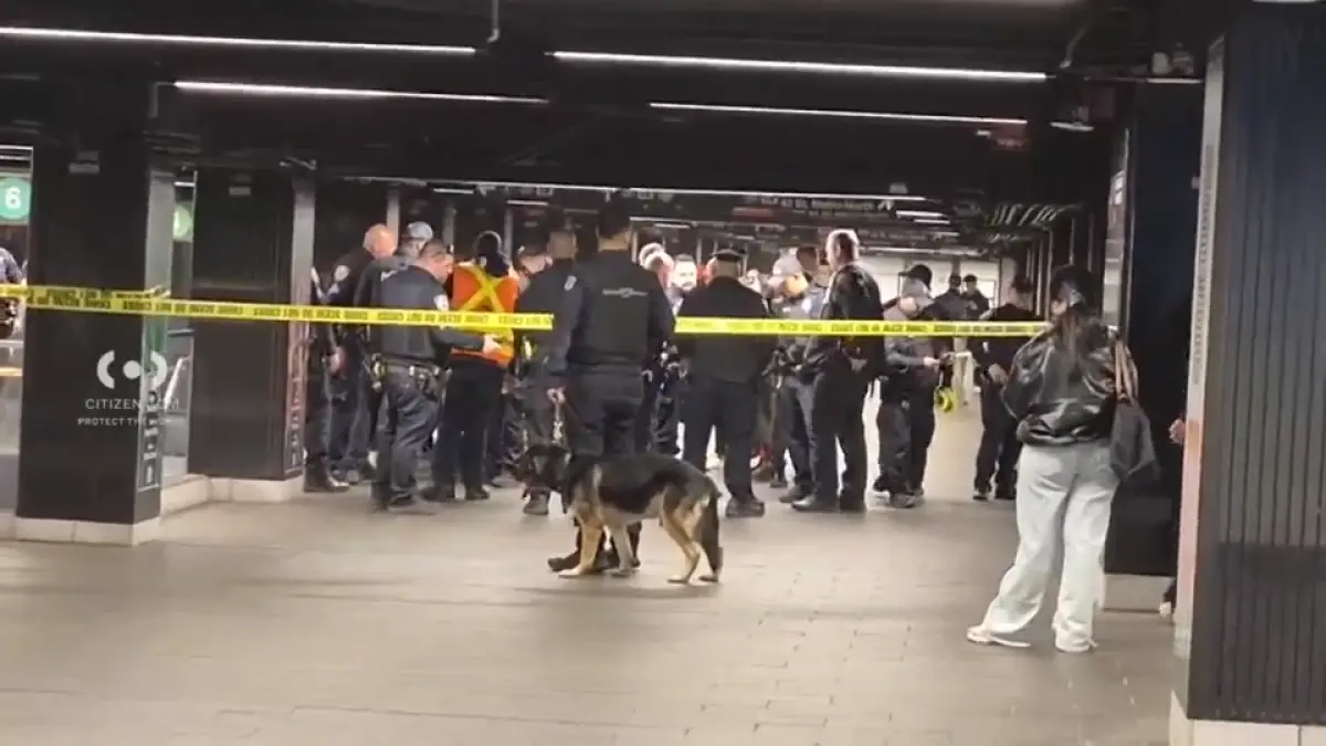 atac cu maceta in cea mai aglomerata statie de metrou din new york 3 persoane au fost ranite suspectul impuscat mortal de politisti