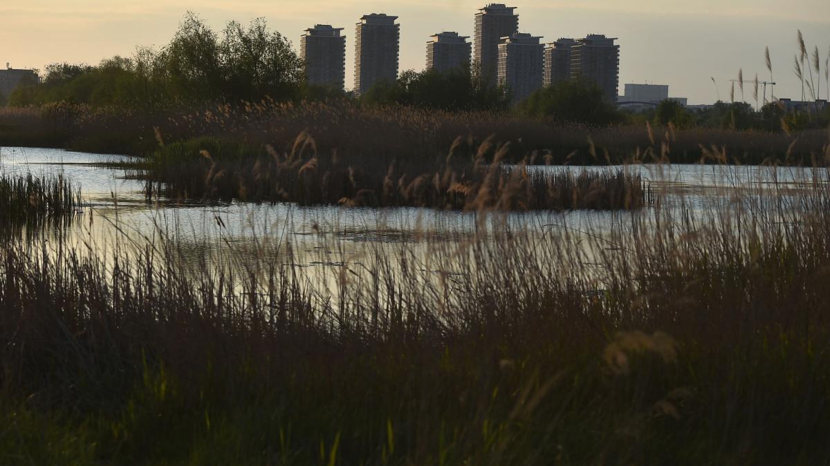 parcul natural vacaresti