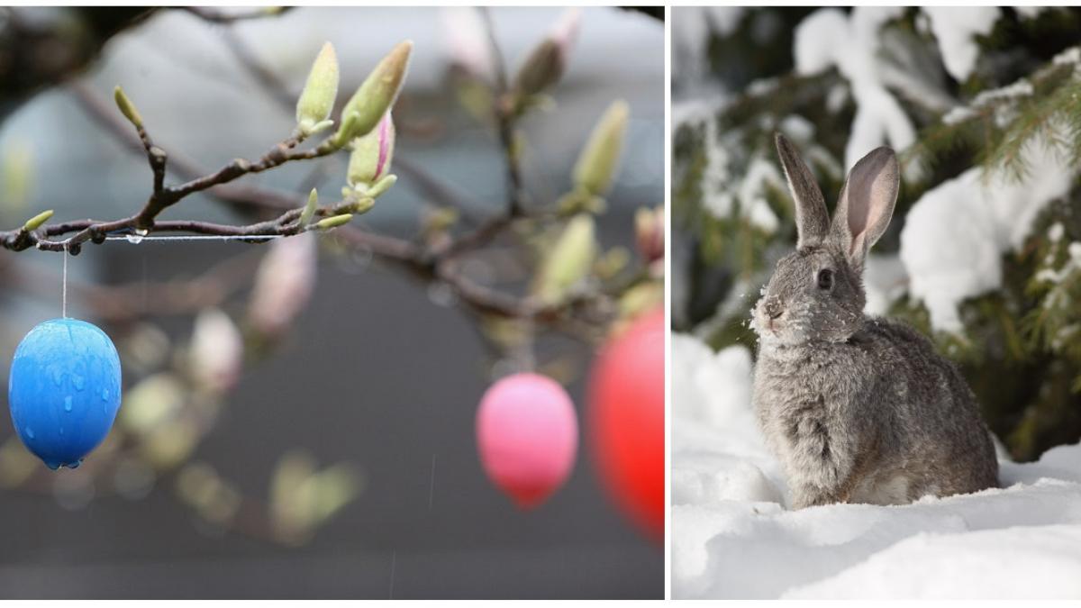 paste cu ploi ninsori si temperaturi scazute in cea mai mare parte a tarii de luni vremea se schimba radical