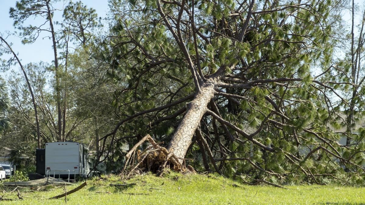 avertizare imediata de la anm cod galben de vant puternic rafalele vor atinge 90 km h harta zonelor afectate