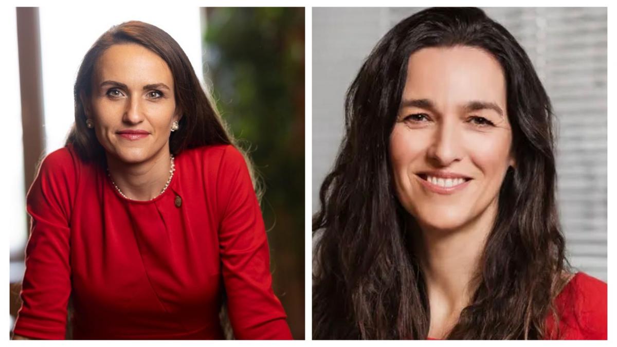 oana toiu a invitat o pe viitoarea ministra de externa a ungariei in romania ce au discutat