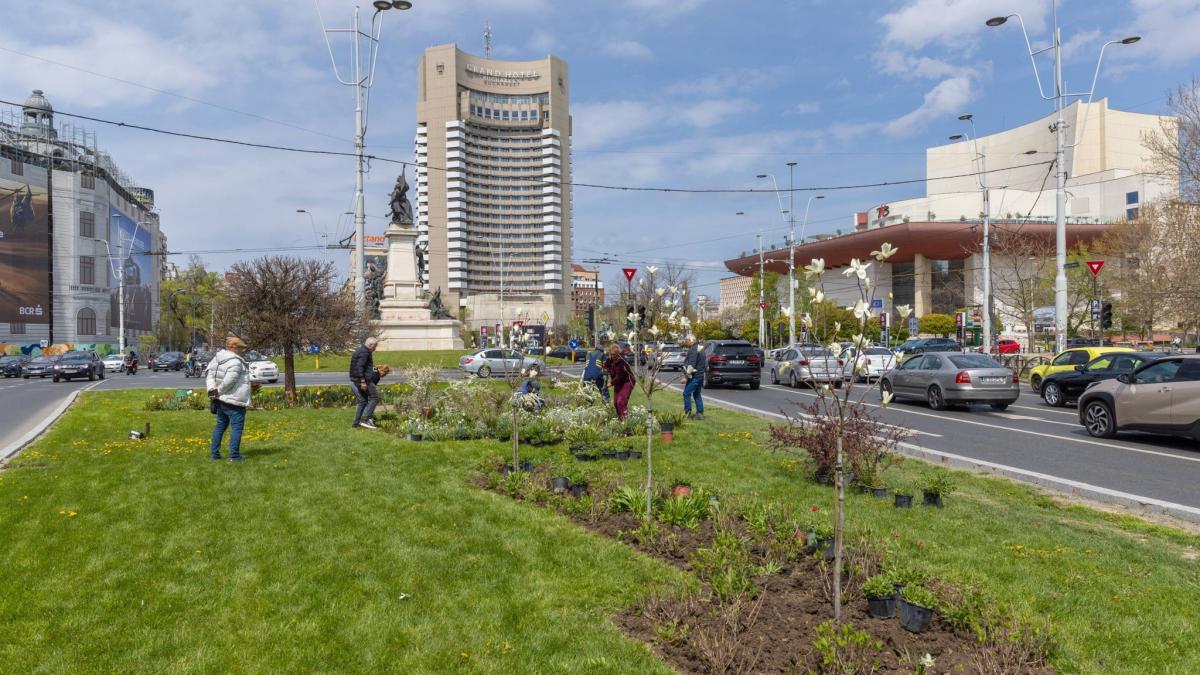 imagini cu zona verde de la kilometrul 0 al bucurestiului dupa ce primaria a plantat 200 de flori vedetele vor fi cele 3 magnolii