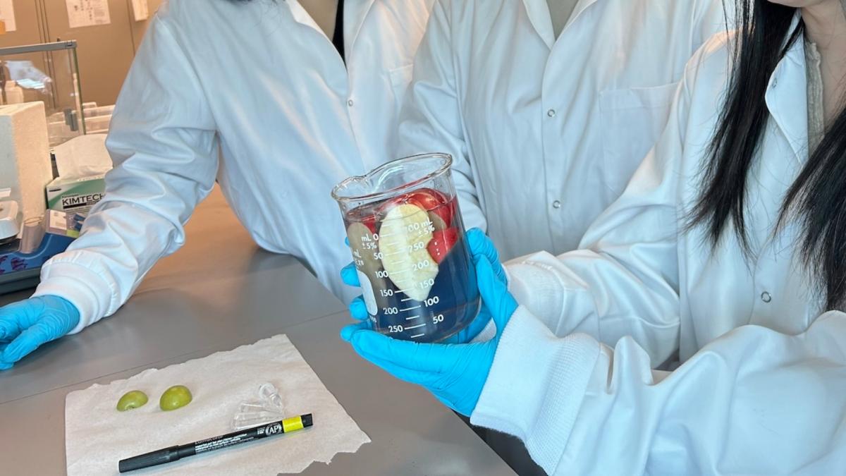 o noua solutie naturala de spalare a fructelor elimina 94 din pesticide iar strugurii raman proaspeti 15 zile la temperatura camerei