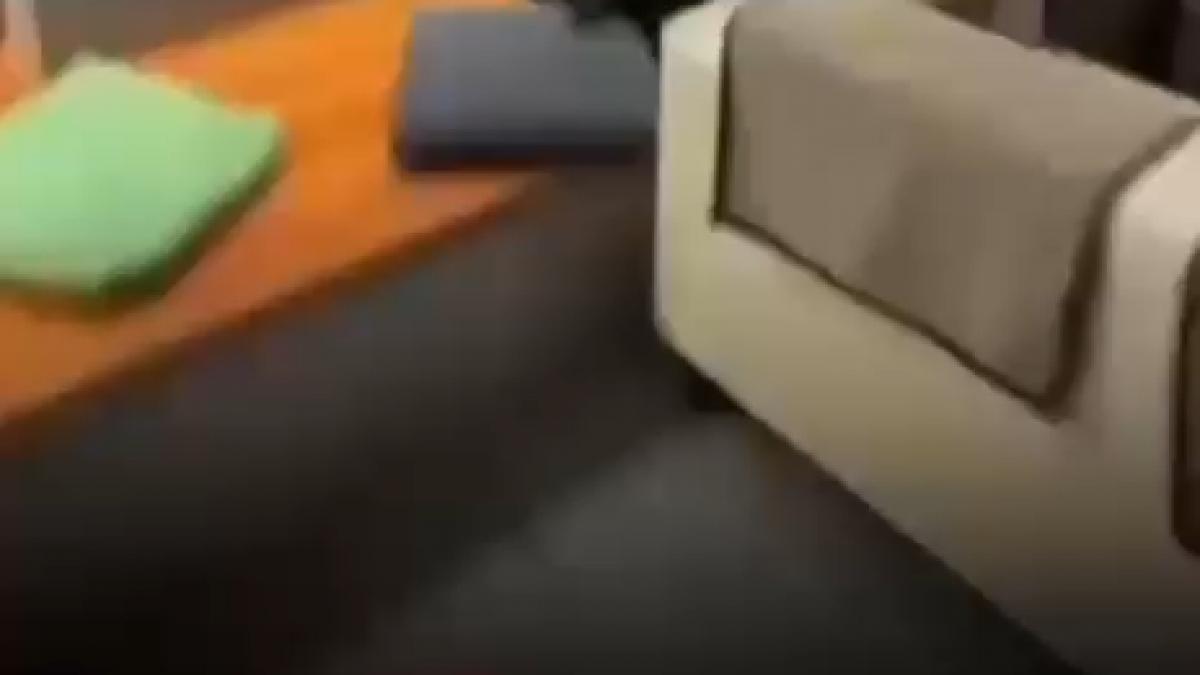 au fost momente tensionate dupa o sedinta a partidului aur cand unul dintre membrii formatiunii a inceput sa se certe cu dan tanasa si