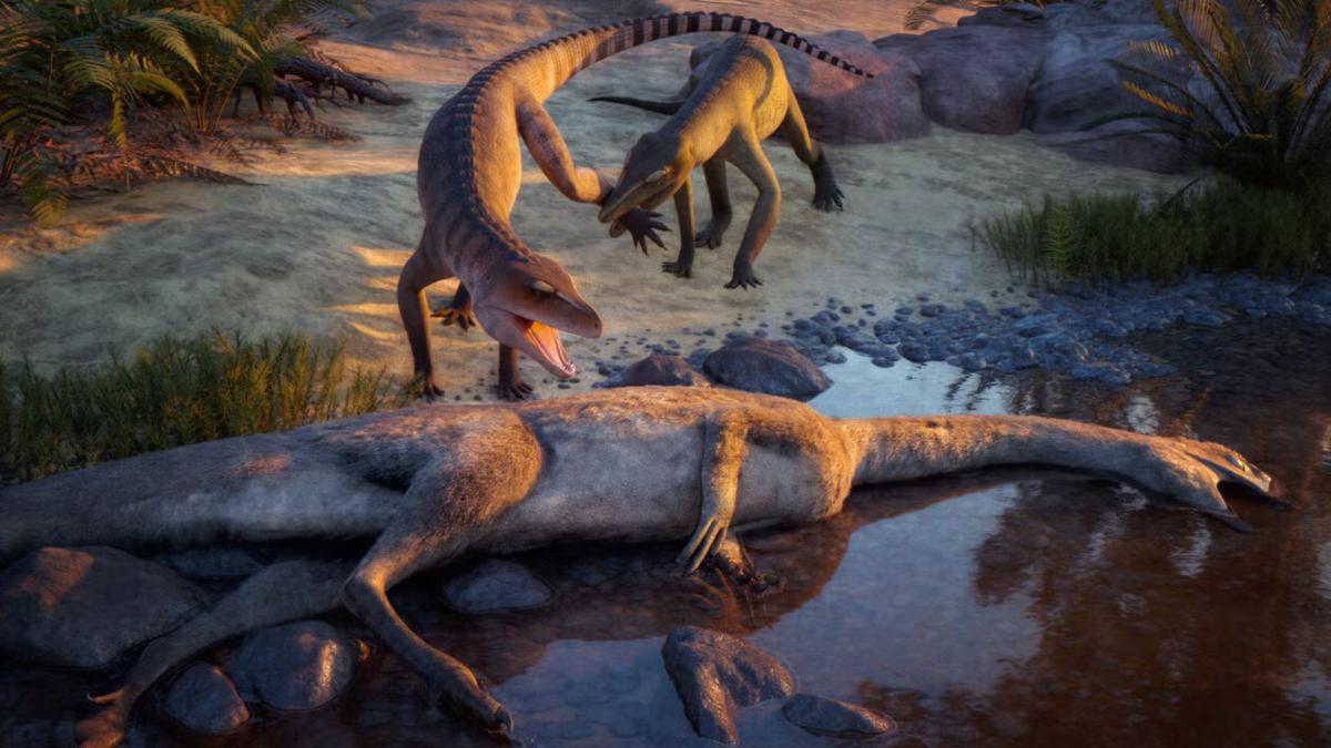 descoperire neasteptata la o fosila tinuta opt decenii in pivnita unui muzeu de la yale are 200 de milioane de ani si e o specie noua