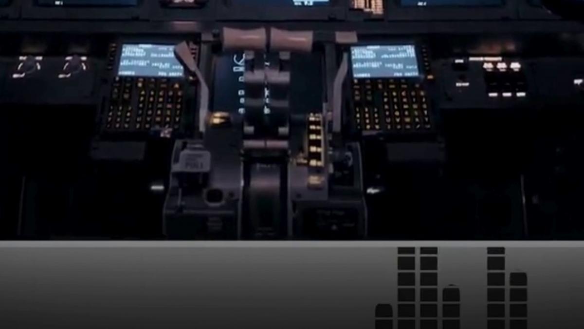 miau miau pilotii unui zbor intern au inceput sa miaune pe frecventa turnului de control cand au fost certati au inceput sa latre