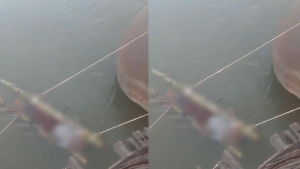 un baiat muscat de un sarpe veninos a fost tinut de parinti 12 ore intr un rau sfant ca sa se vindece