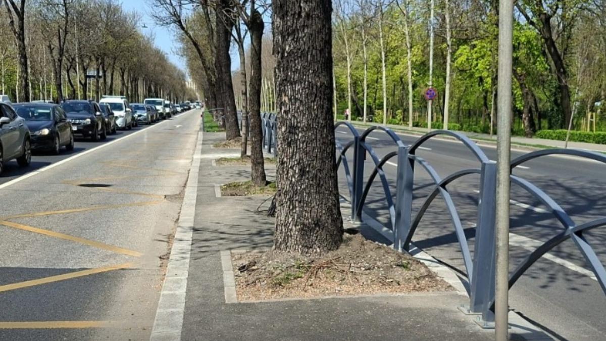 autobuzele vor circula pe banda lor de sambata pe unul dintre cele mai aglomerate bulevarde din capitala