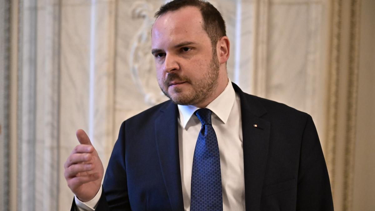 alexandru rogobete pe holul parlamentului 