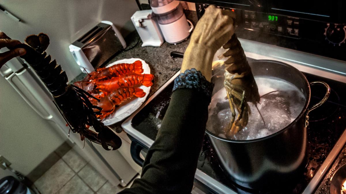 homari fierti vii gatiti mancare bucatarie crustacee