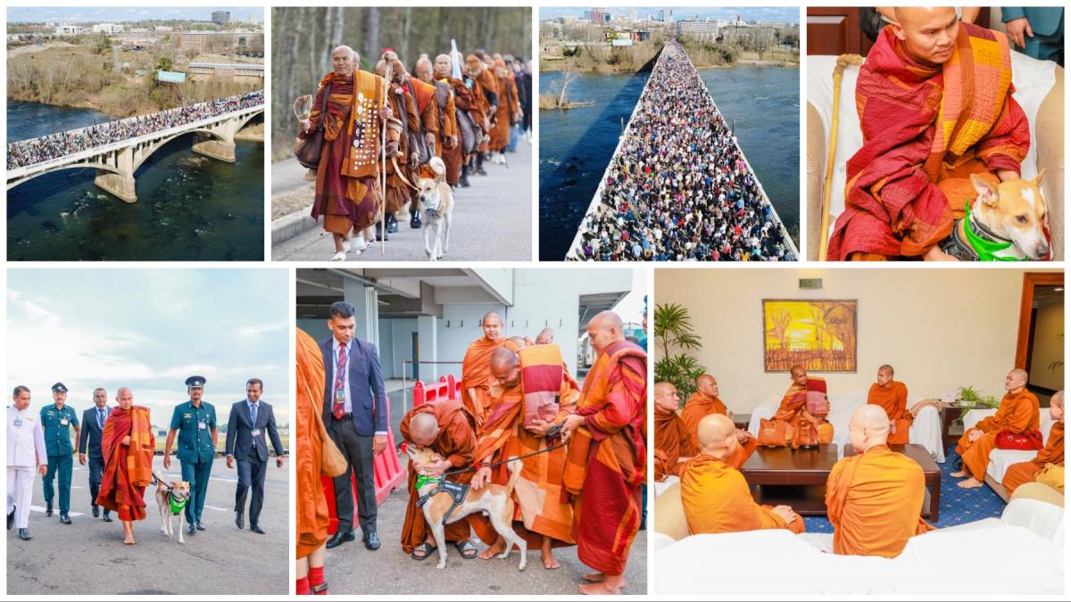 cine sunt calugarii budisti din sua si catelul cu milione de fani in toata lumea au inceput azi un nou mars pentru pace in sri lanka