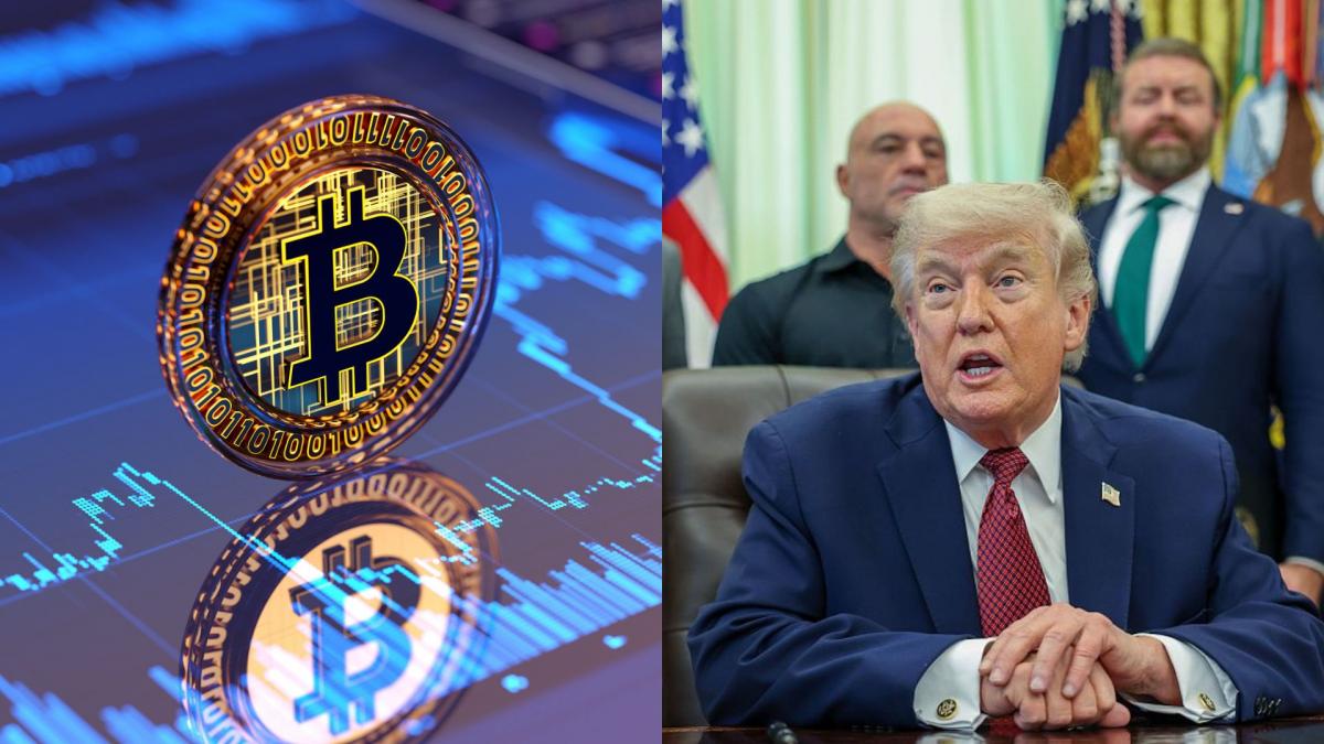 colaj foto bitcoin si donald trump