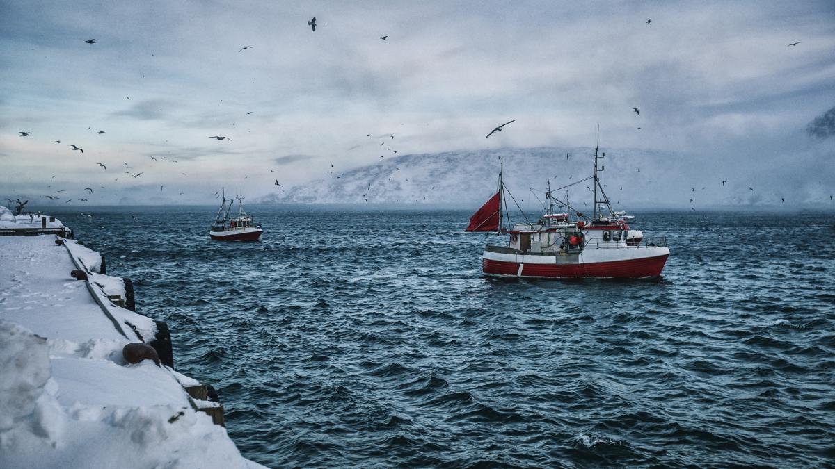 vase de pescuit islanda