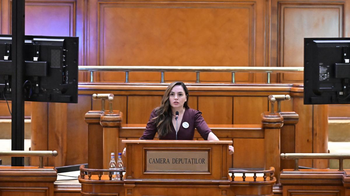 grupul pot de la camera deputatilor se desfiinteaza 10 deputati au parasit partidul anamaria gavrila va fi parlamentar neafiliat