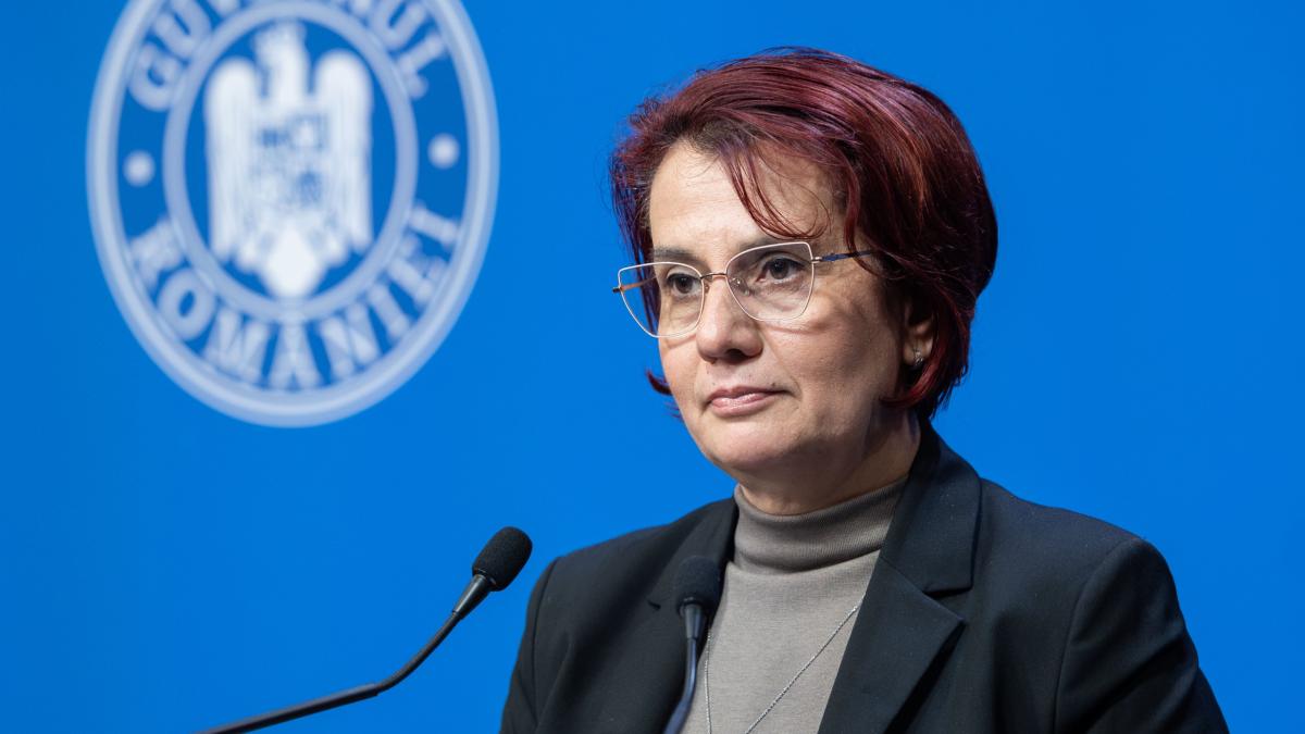 Ioana Dogioiu la un briefing de presă la guven 