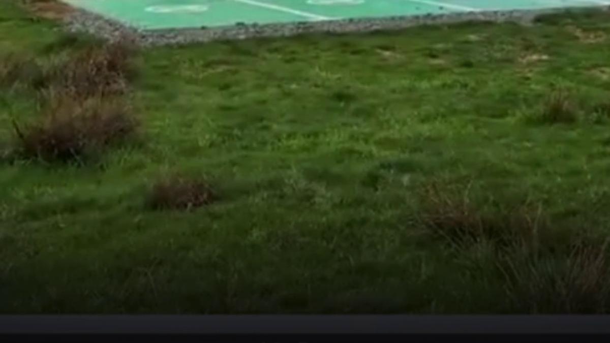 o statie pentru masini electrice pusa in camp fara drum de acces primar despre investitia de 100 000 de euro nu totul e perfect