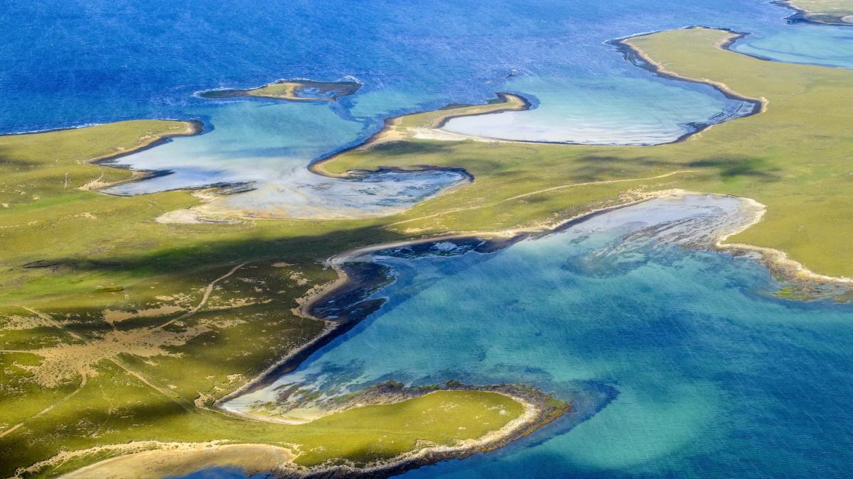 GettyImages-2166057299