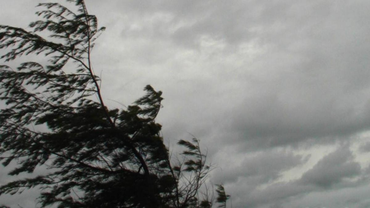 avertizari anm coduri galben si portocaliu de vant puternic in toata tara in zonele montane inalte rafalele ajung la 120 de km ora