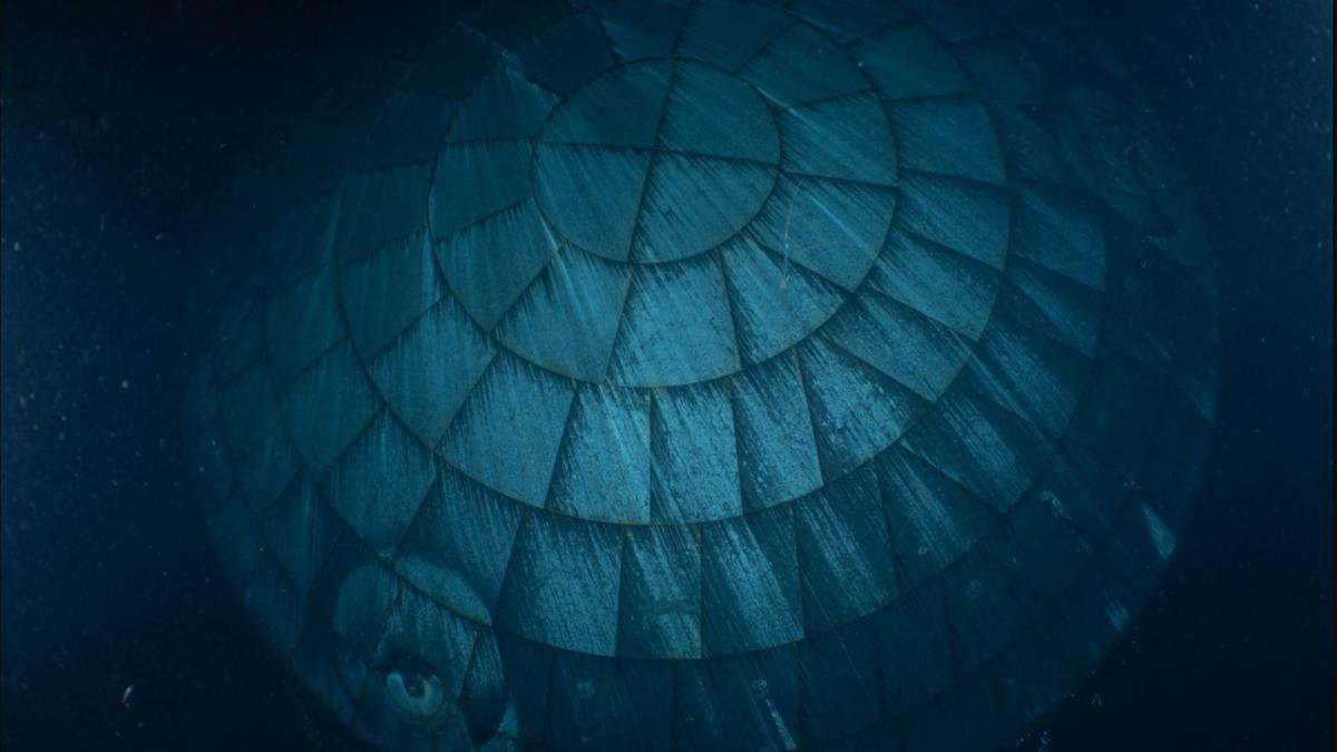 ce este obiectul misterios din adancuri fotografiat de scafandrii marinei sua la cererea nasa