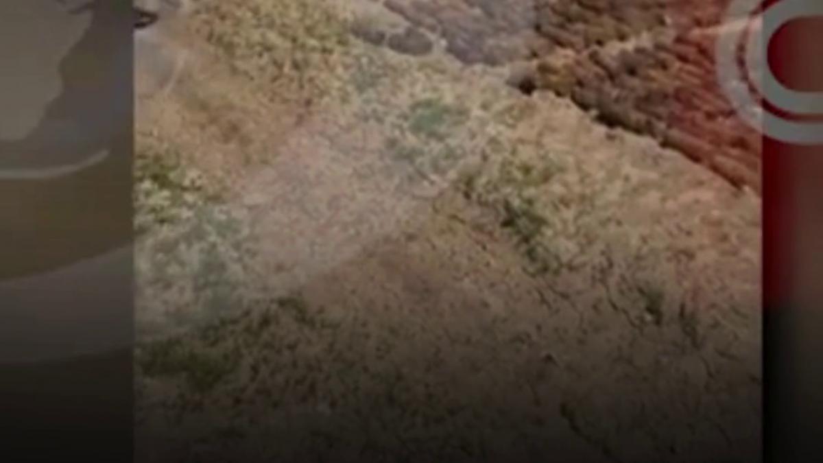 descoperire periculoasa proiectile ingropate la marginea capitalei