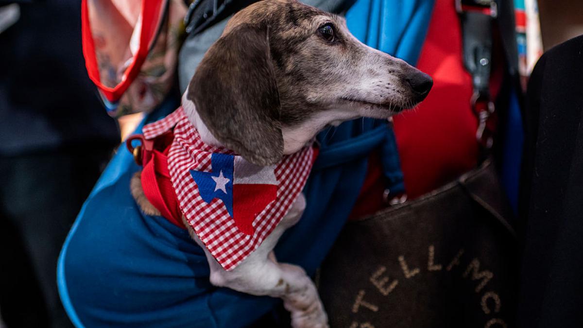 curtea suprema a sua le a dat dreptate republicanilor si a reinstituit harta electorala manipulata in favoarea lor