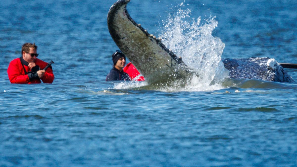 profimedia-1094981485