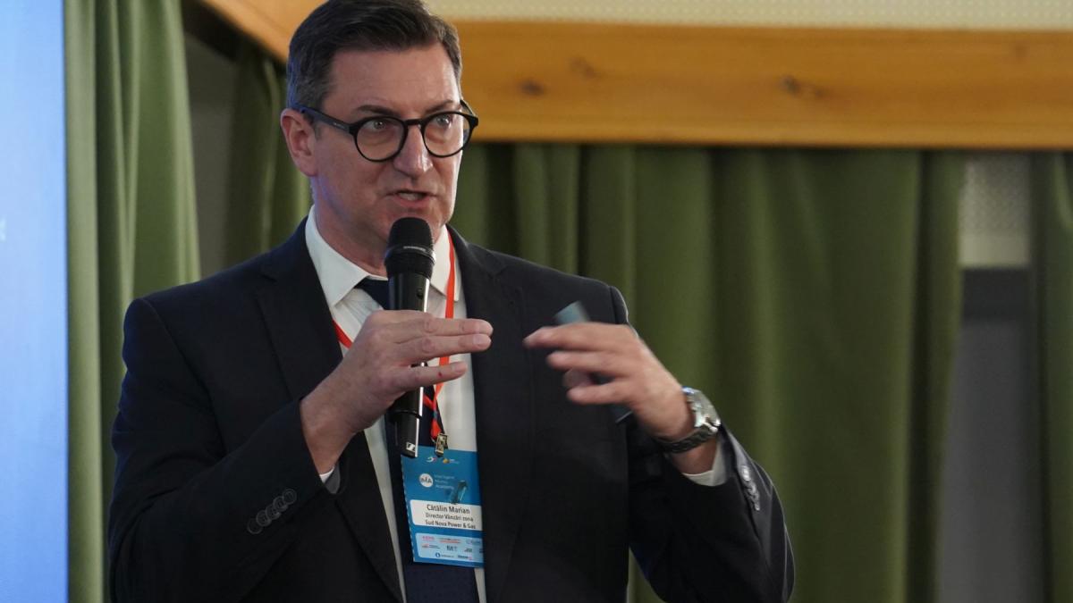 catalin marian nova power & gas