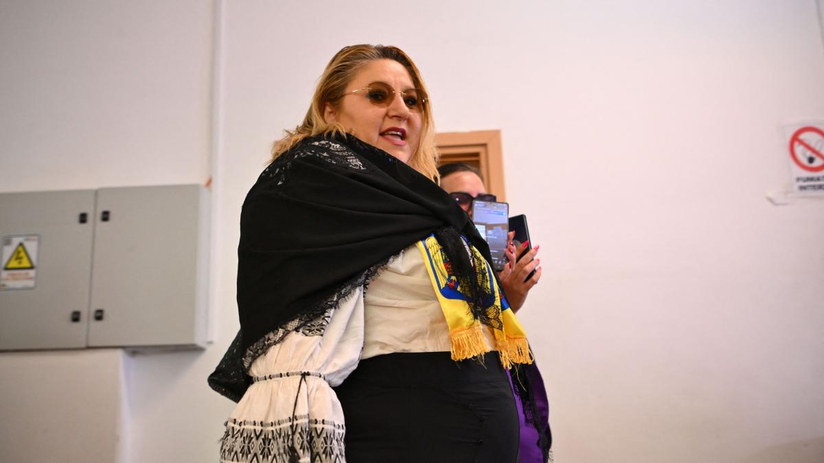 parlamentul european voteaza ridicarea imunitatii dianei sosoaca este acuzata de 11 infractiuni