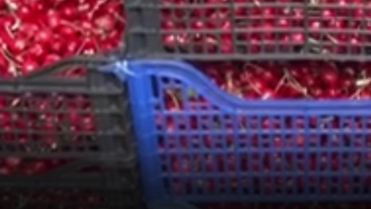 vlcsnap-2026-04-29-11h08m55s700