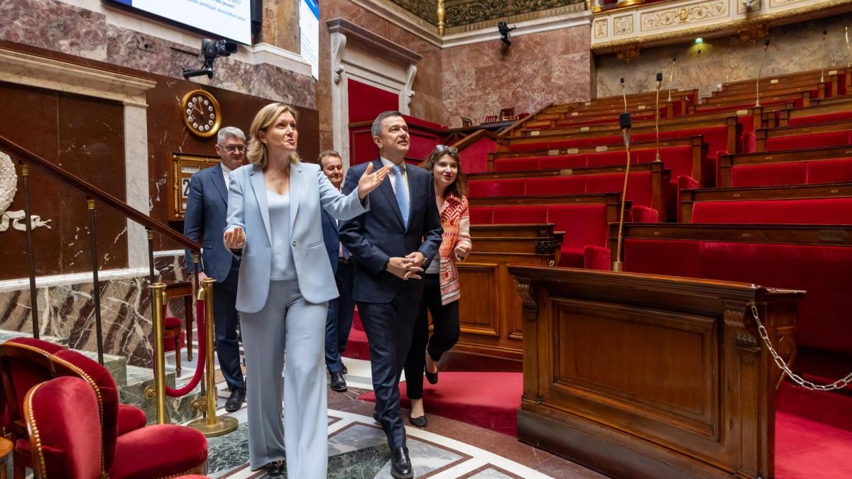 anuntul lui grindeanu dupa intalnirea cu presedinta adunarii nationale a frantei imi doresc sa continuam pe calea pro europeana