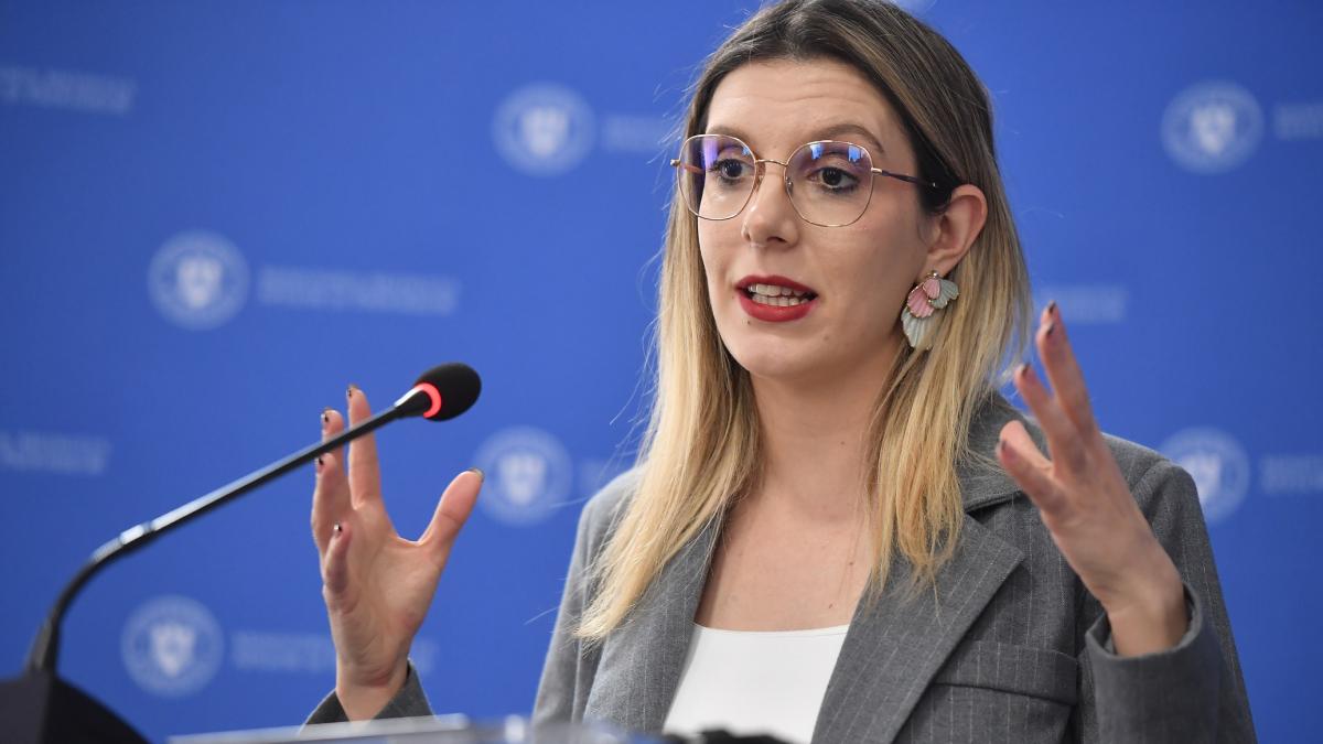 diana buzoianu anunta ca instanta respinge suspendarea reorganizarii romsilva continuam reforma