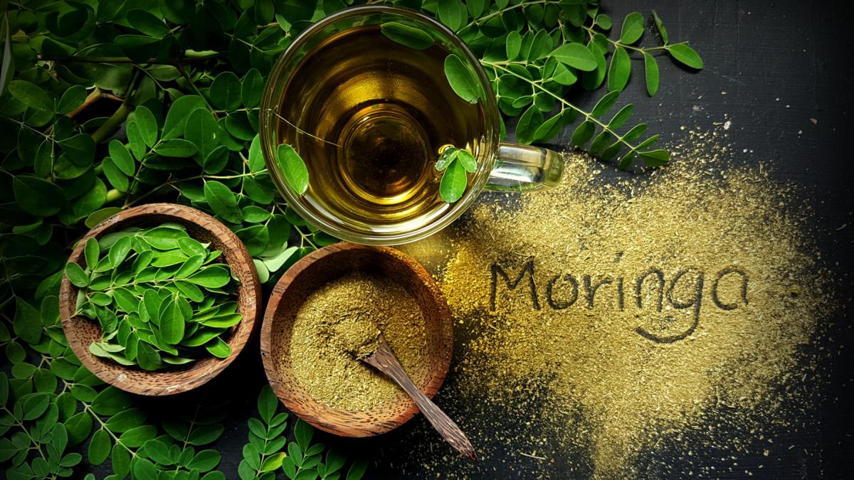 frunze pudra ceai arborele moringa copacul minune planta