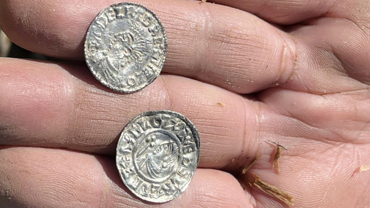 descoperire arheologica unica de tezaur s au gasit 3 000 de monede de argint pe un camp e cea mai mare comoara vikinga din norvegia