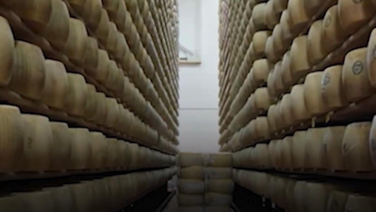 imperiul branzei din italia 500 000 de roti de parmigiano reggiano in valoare de 400 milioane de dolari