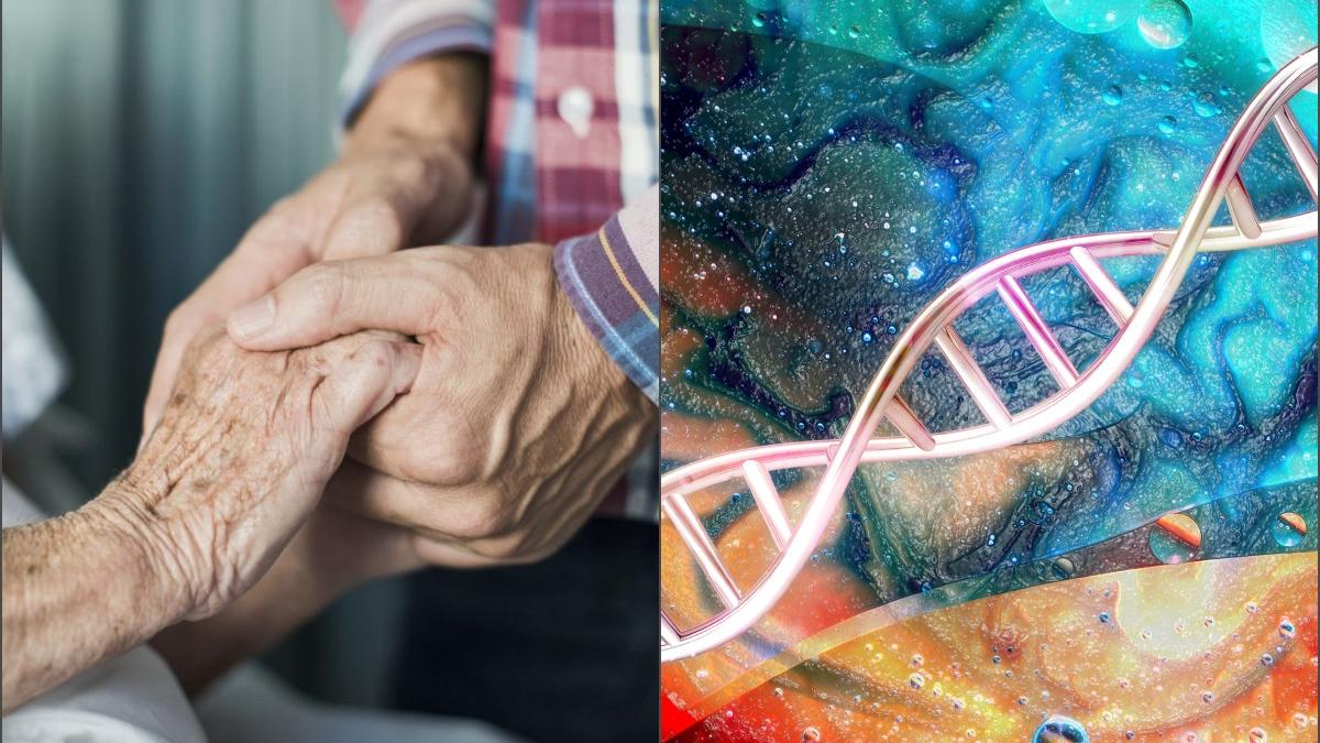Modificările microbiomului legate de îmbătrânire apar la două praguri de vârstă specifice