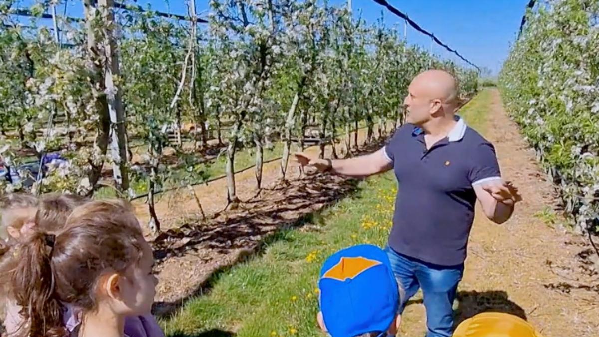 prima livada din romania unde pomii se adopta cine ingrijeste copacul primeste fructele recolta se trimite si prin curier