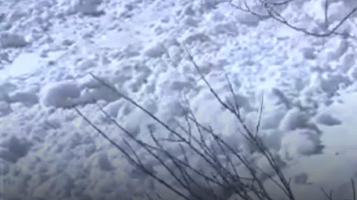 videoframe_4131