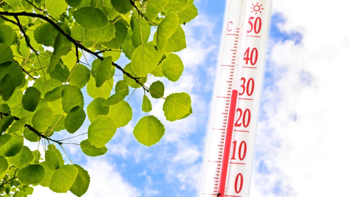 termometru cald 27 garde celsius primvara