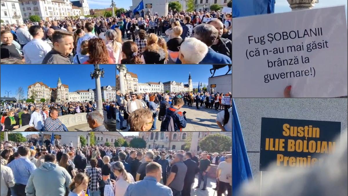 oradenii au iesit la miting sa l sustina pe bolojan inainte de motiune fug sobolanii ca n au mai gasit branza la guvernare