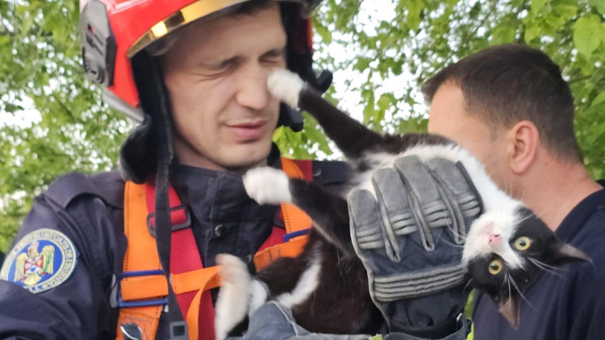 imagini adorabile cu o pisica dupa ce tocmai a fost salvata de pompieri dintr o fantana in vaslui au coborat 7 metri dupa ea