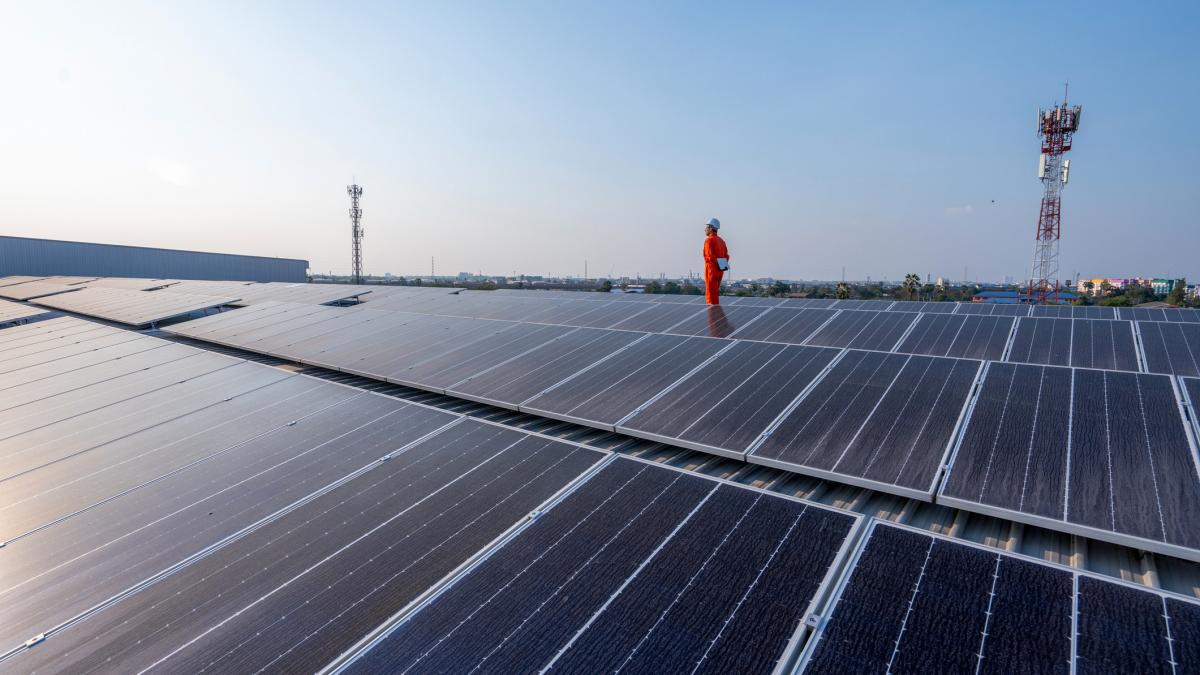 panouri fotovoltaice