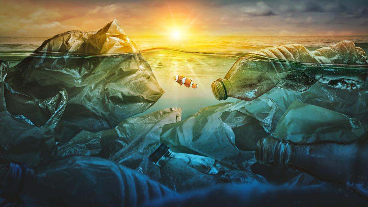 marea insula de gunoaie din pacific este un cosmar de plastic ar putea fi insa si parte dintr o problema mult mai mare ascunsa