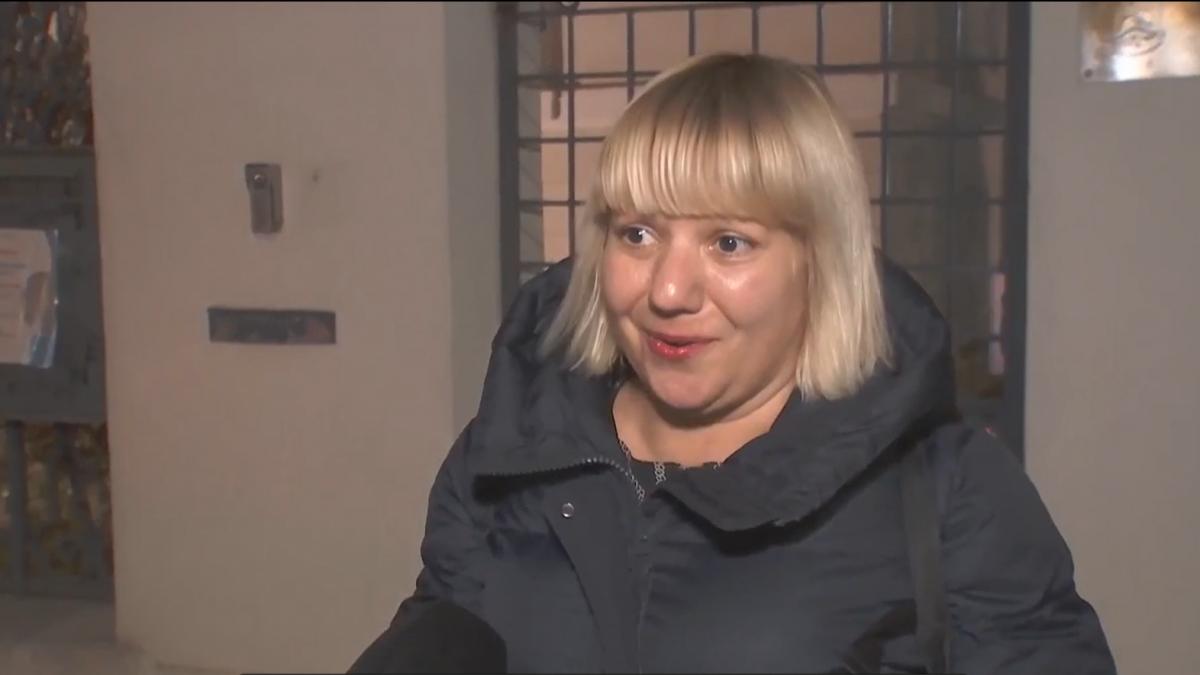camelia bogdan s dual role in the ica case