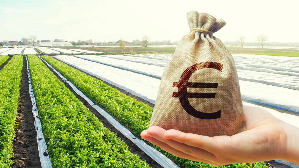 familia regala din eau a primit peste 71 de milioane de euro din subventii agricole europene o companie din romania aduce majoritatea
