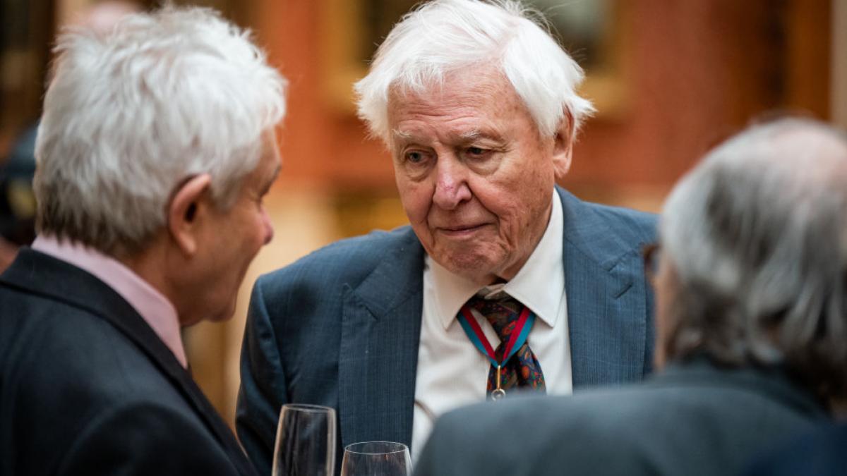 David Attenborough