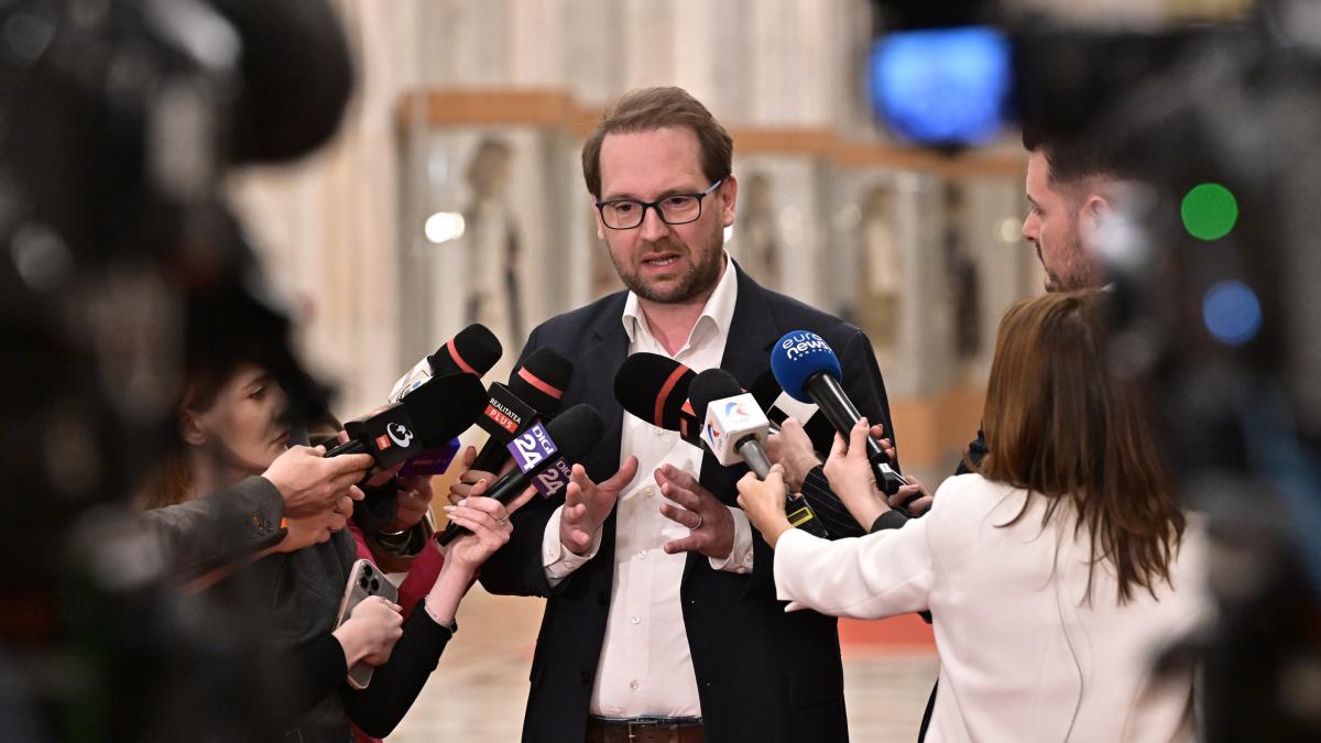 dominic fritz face declaratii in parlamentul romaniei