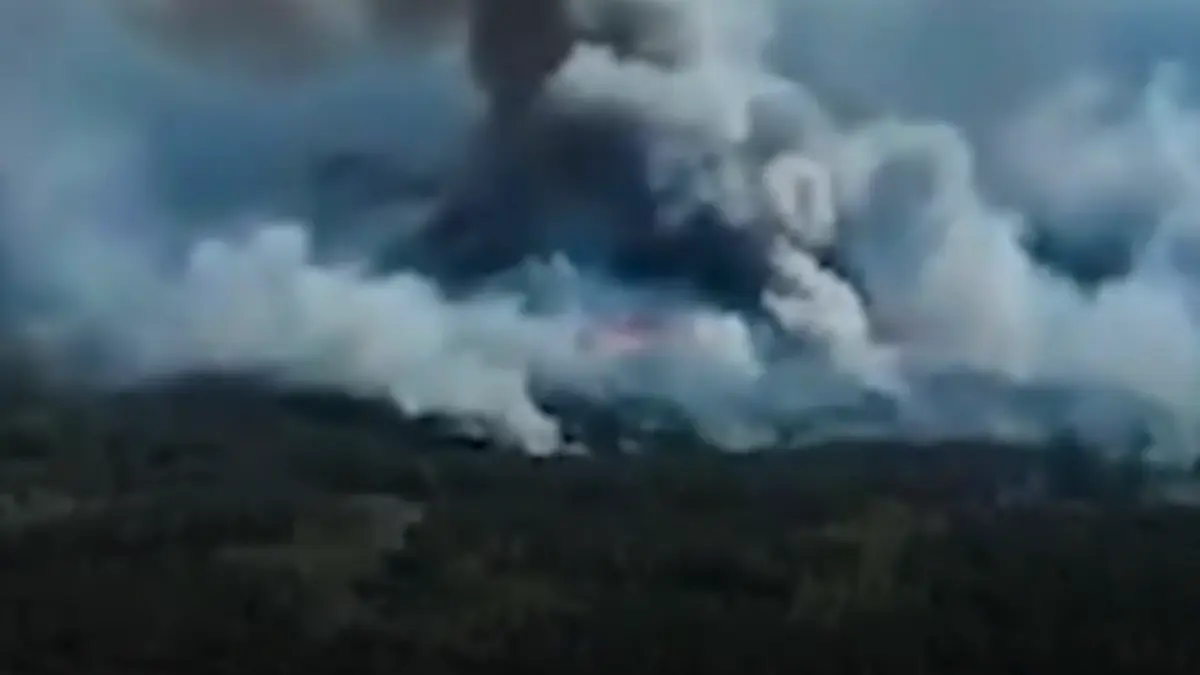 incendiu urias la cernobil 1 100 de hectare de padure ard dupa prabusirea unei drone precizari anm despre directia norului de fum